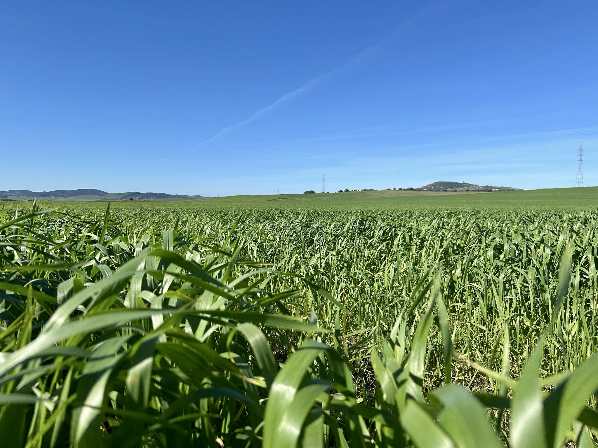 4909ce82-5ee4-456a-87fd-34f4fdd43330